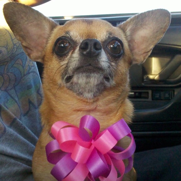 Meet your Posher, Rentia - Picture 1 of 1